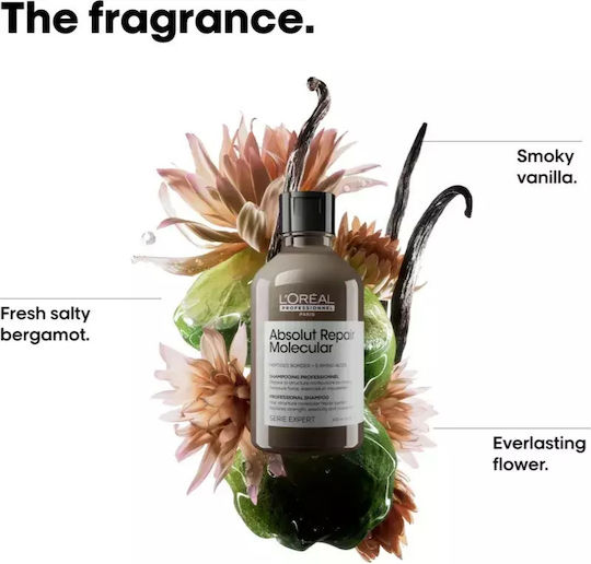 L’Oréal Professionnel Serie Expert Absolut Repair Molecular Ambalaj Convenabil Păr Deteriorat