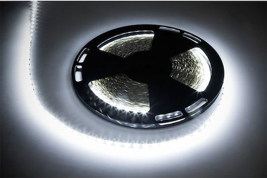 Rebel LED Лента 12V 1м с Захранване