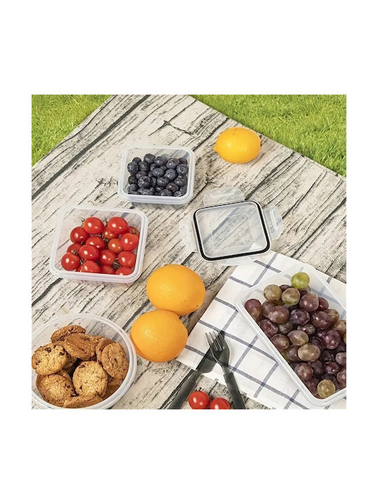 Set Cutii De Prânz Din Plastic Transparente 5cm 12 Bucăți