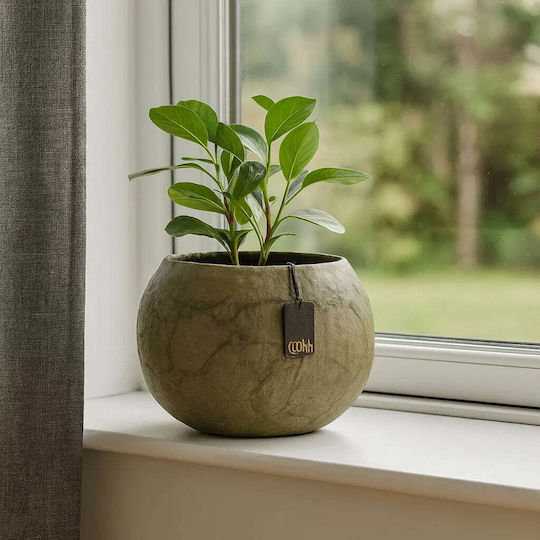 Phos & Gaia Multicolour Plant Pot with Stand