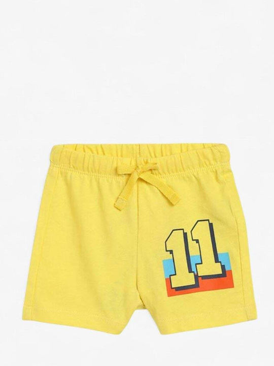 Chicco Chicco