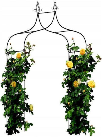 Arc Metalic Dublu Pentru Grădină Oțel Flori Cățărare 150 X 38,5 X 262 Cm Negru