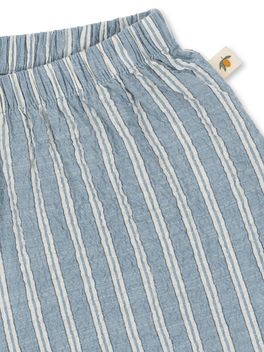 Kids Fabric Shorts/Bermuda Trio Blue Stripe