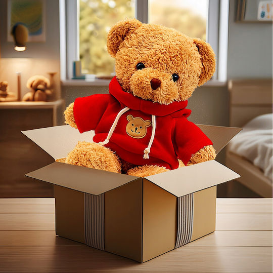 Plush Teddy Bear Valentine's Day 40 cm
