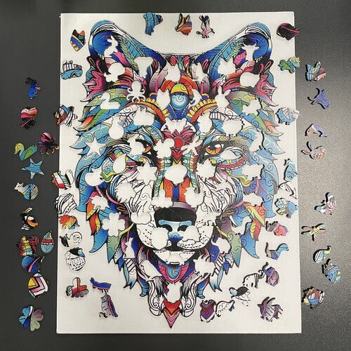 Puzzle 2D 170pcs ZY12453QWS52