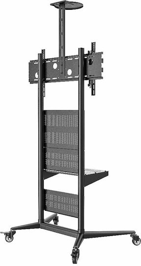 Focus Mount T622 Boden TV-Halterung bis 85" und 90kg