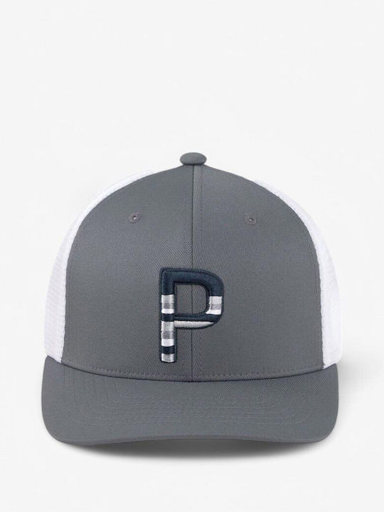 Puma Sundown LKW-Fahrer Snapback Kappen Grau Weiß