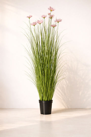 Iarbă În Ghiveci Flori Roz Margarete 90cm 43x43x90cm Monocrom Kaeming Iarbă În Ghiveci Flori Roz Margarete 90cm 43x43x90cm Monocrom Kaeming