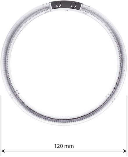 Einparts Ringe Ccfl Epr01 BMW E30 Set 2 Stück Rückbeleuchtung