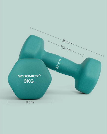Songmics Halteră 1 x 3kg
