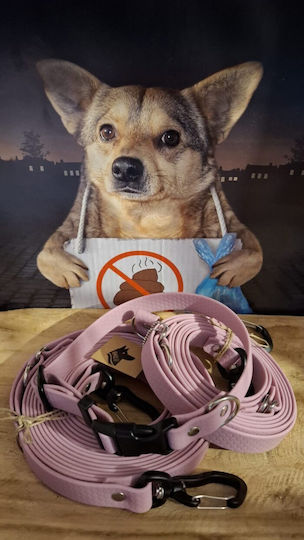 Bailu Dog Leash/Lead Strap In Light Blue Colour