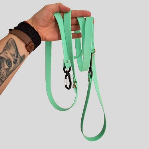 Bailu Dog Leash Lead Strap In Green Colour