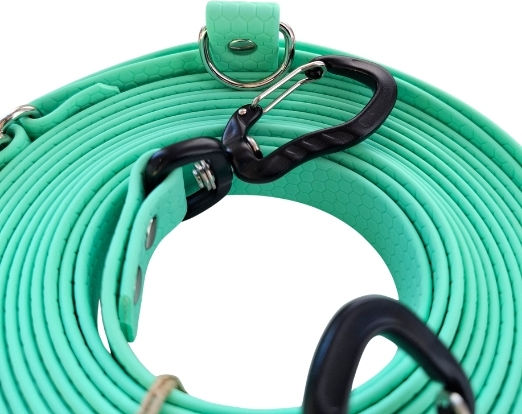 Bailu Foldable Dog Leash Lead Training Strap In Green Colour