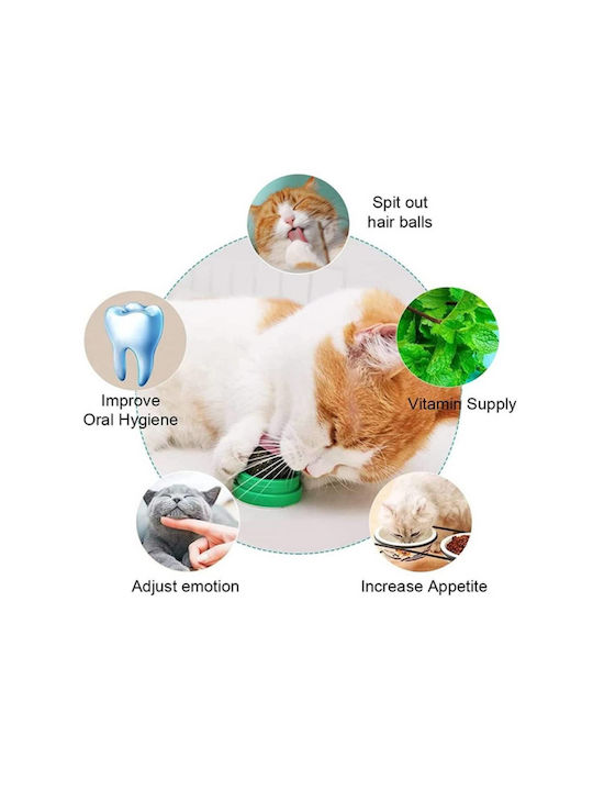 Glob Cu Catnip Pentru Pisici Bază Verde