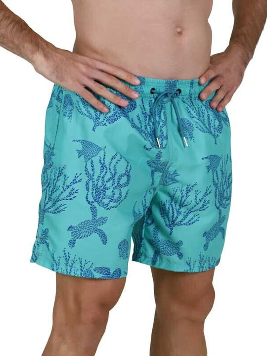 Waves Waves