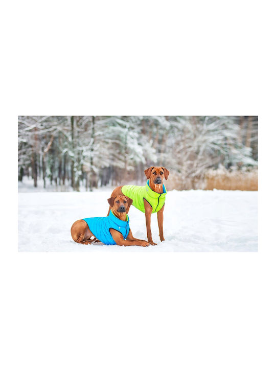 Doggy Dolly L 65 Wasserdicht Airyvest Doppelter Seite Offenes Grün + Blau