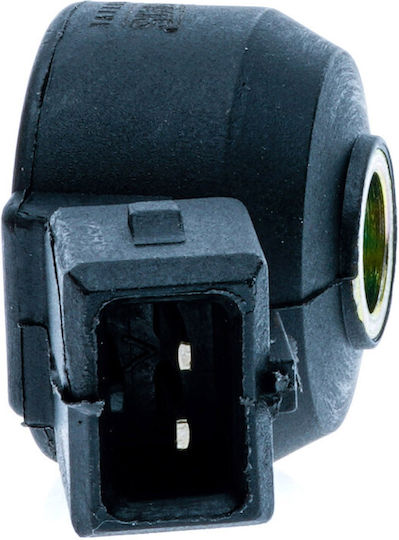 Einparts Knock Sensor Citroen Berlingo C2 C3 Saxo Xsara
