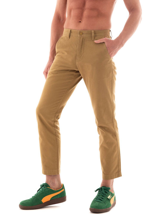 Xx Παντελόνι Chino Beige.