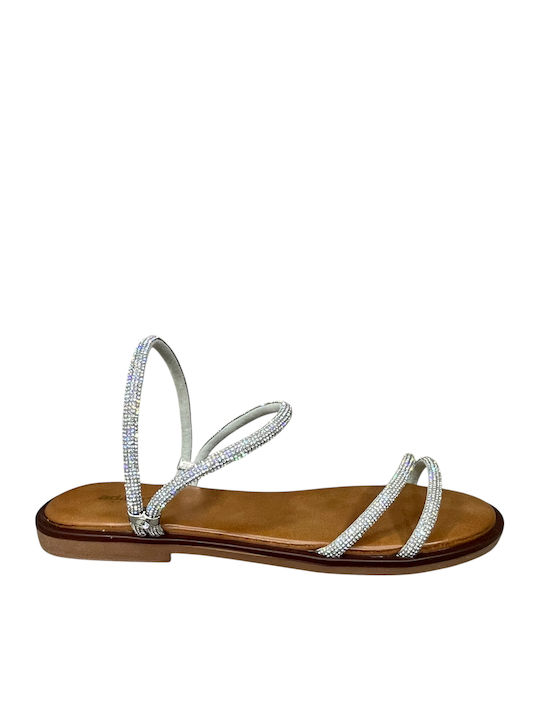 Adam's Shoes