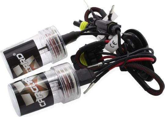 Set 1 Xenon Birne H9-6k Carguard