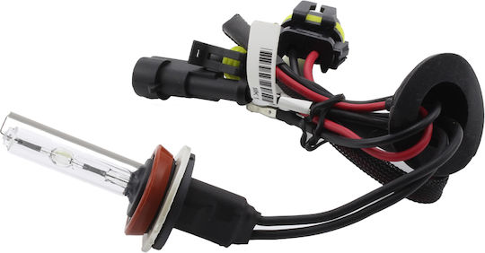 Set 1 Xenon Birne H9-6k Carguard
