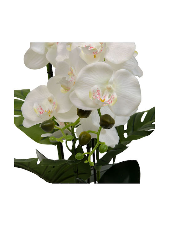 Τεχνητό Λουλούδι Γλάστρα 81εκ A-s Orchid Asia 214107 Κεραμικό