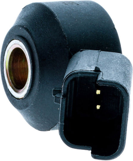 Einparts Knock Sensor Citroen Berlingo C4 Xsara C5