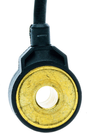 Einparts Knock Sensor Citroen Xm C5 Xantia Peugeot 406