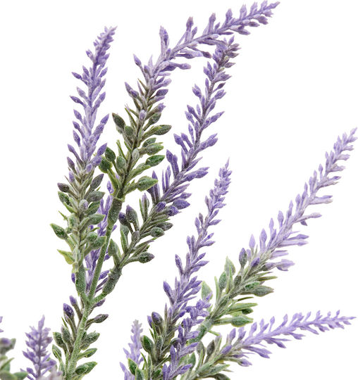Βάζο Πλαστικό Lavender Λιλά