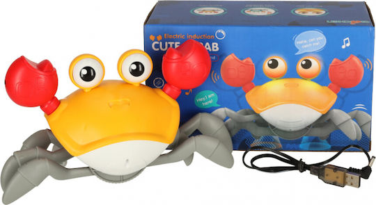 ikonka Baby Aktivitätsspielzeug Mit Musik Und Sounds Für 36+ Monate
