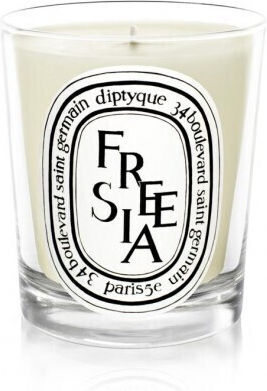 Diptyque Αρωματικό Freesia σε Βάζο Λευκό
