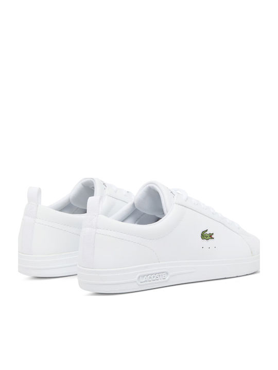 Court Women's Sneakers Wht /