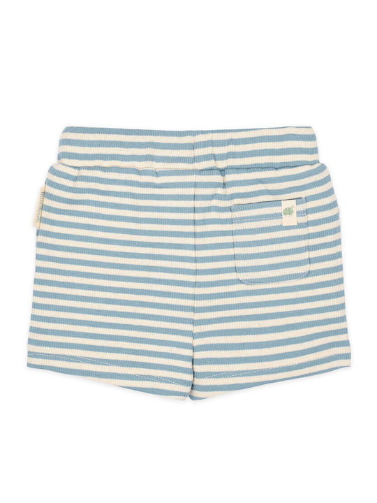 Kids Shorts/Bermuda Fabric Blue Stripe
