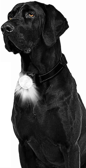 Zola Hundetags mit LED-Licht Weiß-Rotes Licht Silikon Kunststoff Ipx5 4 Beleuchtungsmodi Schwarze