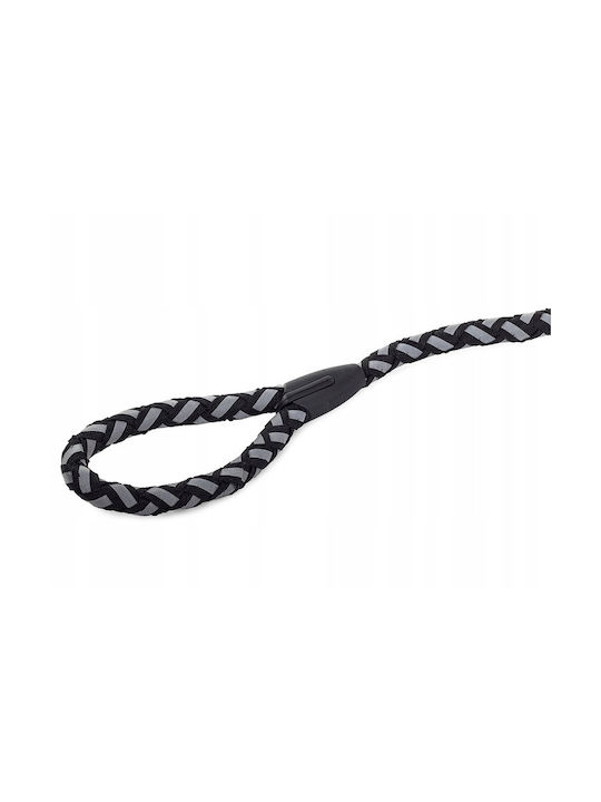 Hundegeschirre Leine Set Schwarz Fluoreszierend 106x1.2 Cm