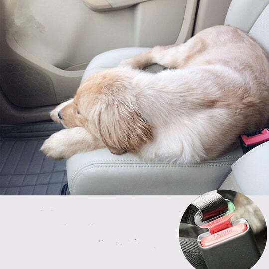Centură de Siguranță Auto pentru Câine Kaki