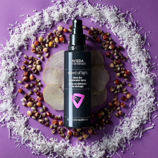 Aveda Texturizator Pentru Fixare Ușoară 200ml