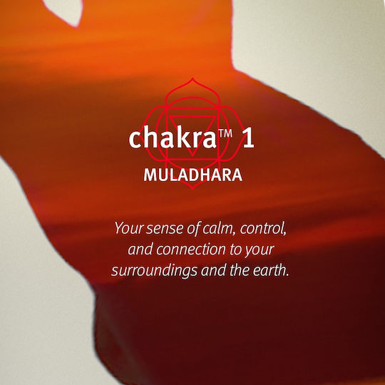 Aveda Chakra 1 Balancing Pure Fume Grounded Body Mist 100ml