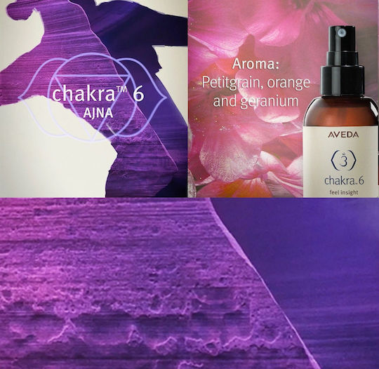 Aveda Chakra 6 Balancing Pure Fume Insight Spray de corp 100ml