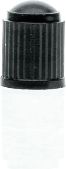 Extremo Tuning Valve Caps 100 Pcs Car Bicycle Motorcycle