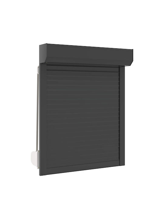 vidaXL Aluminum Roller Shutter W80xH100cm