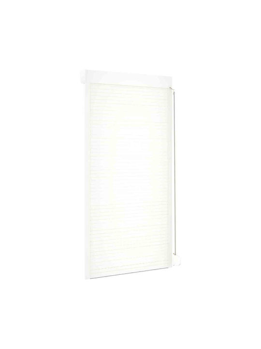 vidaXL Aluminium Fensterladen Rolle P110xH220cm