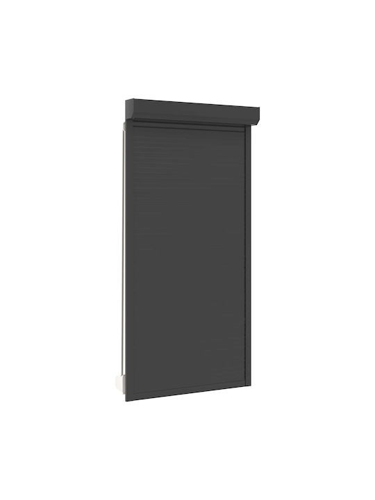 vidaXL Aluminum Roller Shutter W110xH220cm