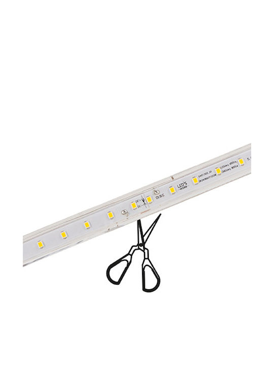 123led Luminiță Garland LED Etanșă 25m cu 123 Becurie Alb Rece