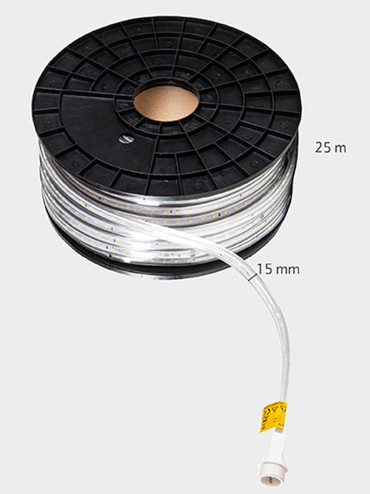 123led Luminiță Garland LED Etanșă 25m cu 123 Becurie Alb Rece
