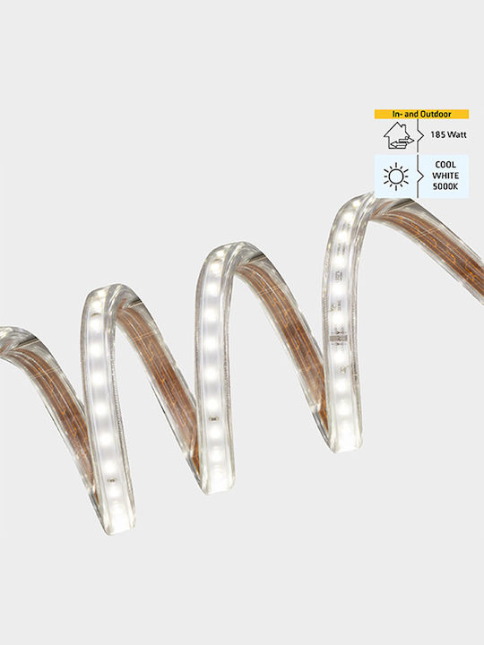 123led Luminiță Garland LED Etanșă 25m cu 123 Becurie Alb Rece
