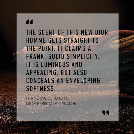 Dior Homme Eau de Toilette 100ml