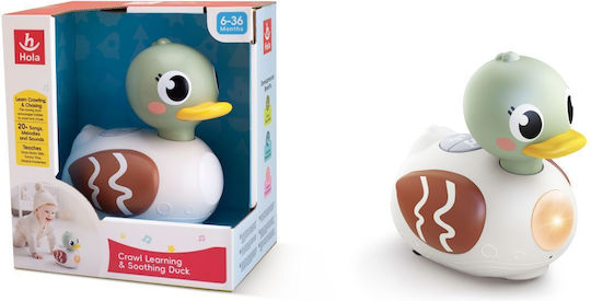 Hola Toys Jucărie de Activitate pentru Bebeluși cu Muzică, Lumină și Sunete pentru 36+ Luni