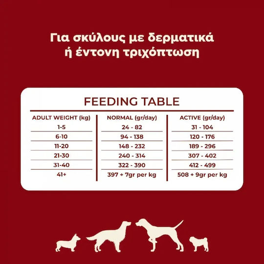 Ethelia Coat & Skin For Adult & Puppies 12kg Dry Food For Adult Dogs With Pork And Salmon