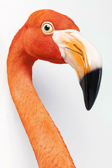 Kare Design Τοίχου 71.5cm